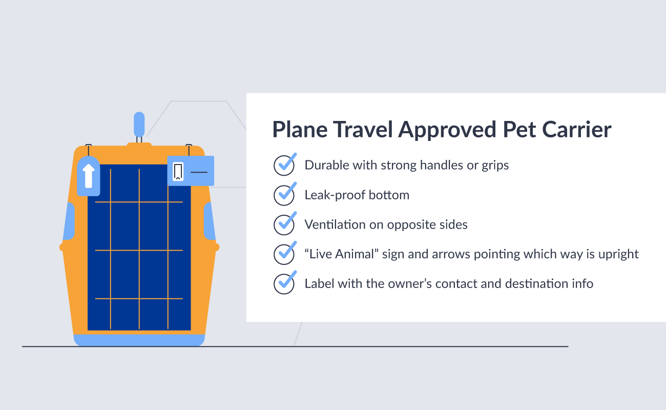 Plane travel approved pet carrier requirements.